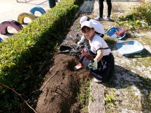 いもほり3・5年生