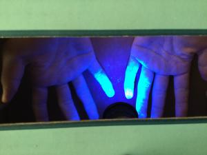 手洗い指導の様子2