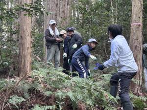 うらじろ採りの様子1