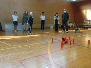 モルックの様子